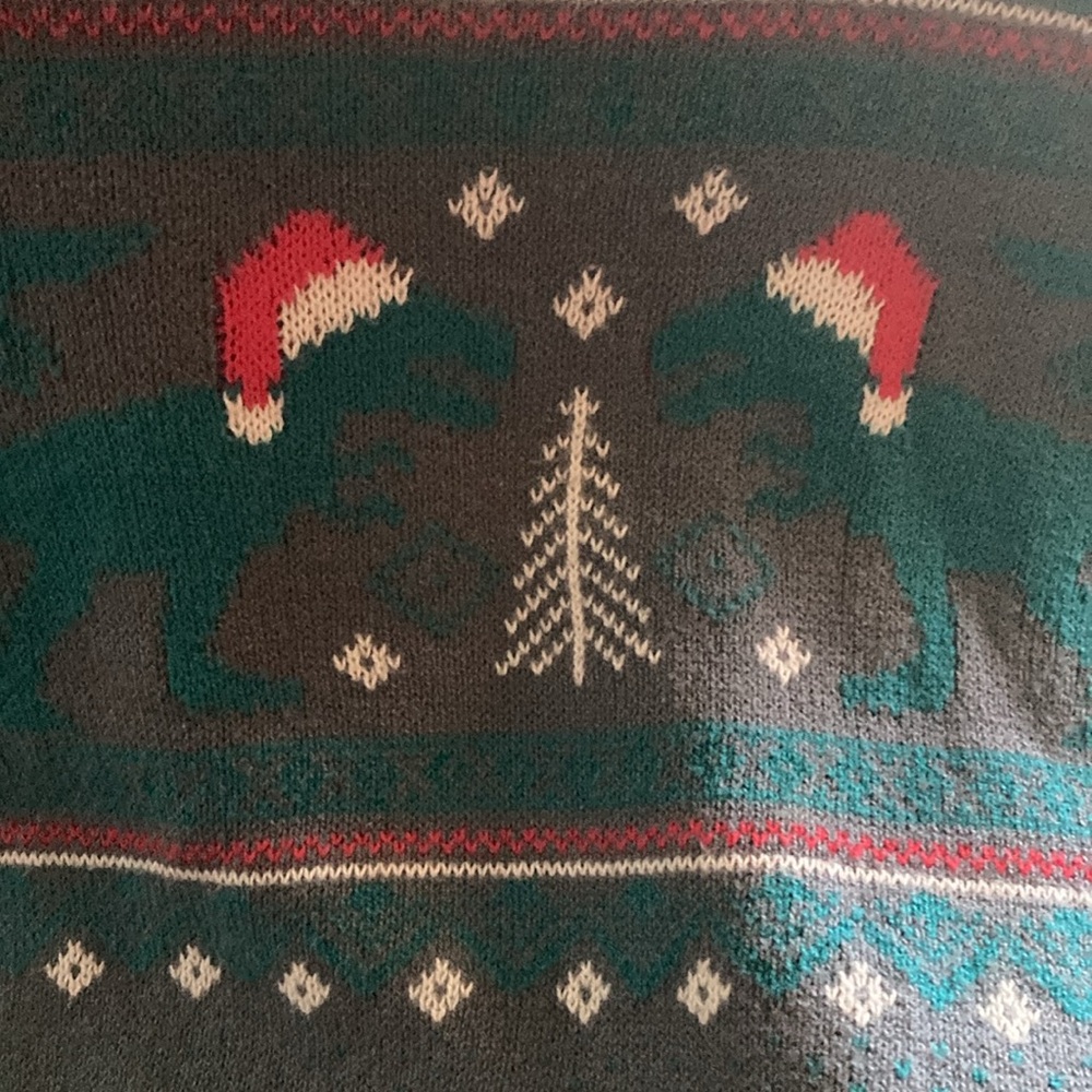 Boys Christmas Sweater Size Large Dinosaurs wearing Santa Hat - Picture 4 of 6